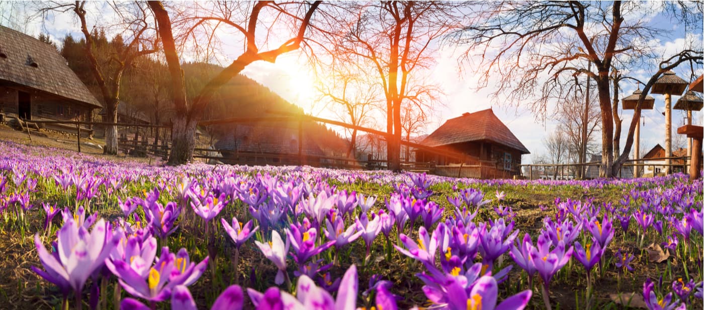 Museum Staroye Selo in Kolochava, Carpathians