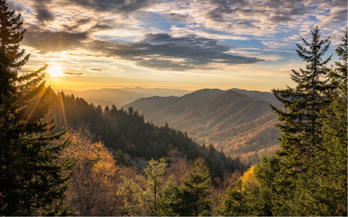 Cherokee National Forest