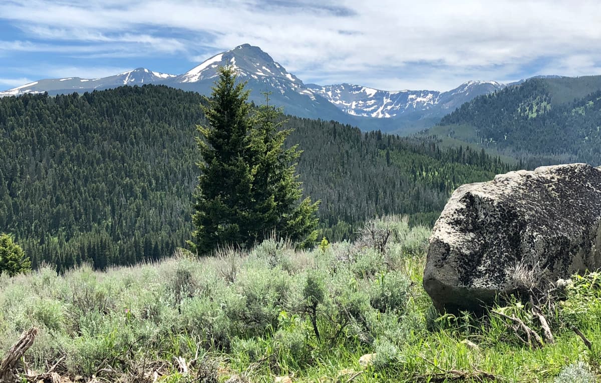 Tobacco-Root-Mountains