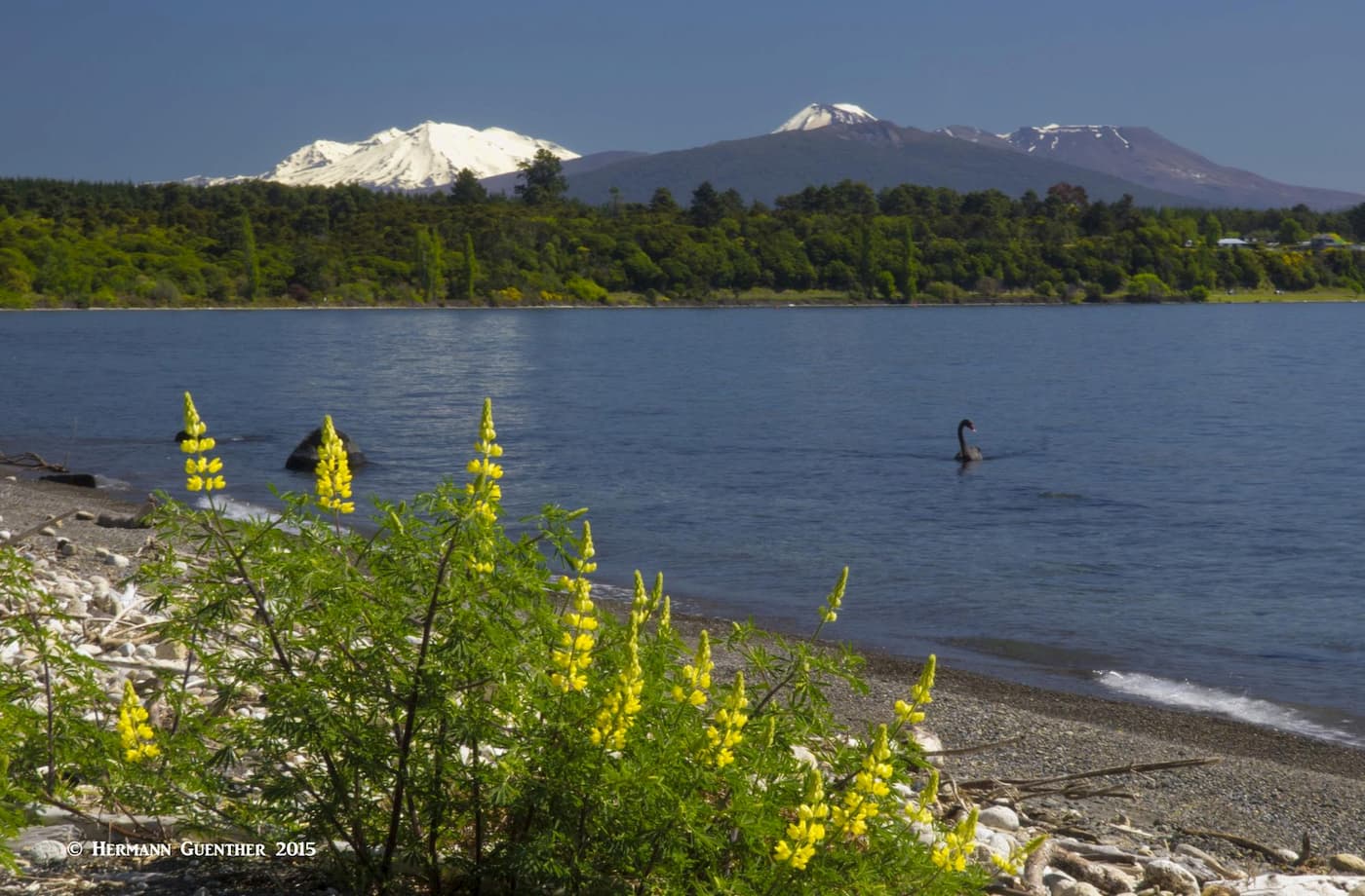 Mount Ruapehu Crater Lake