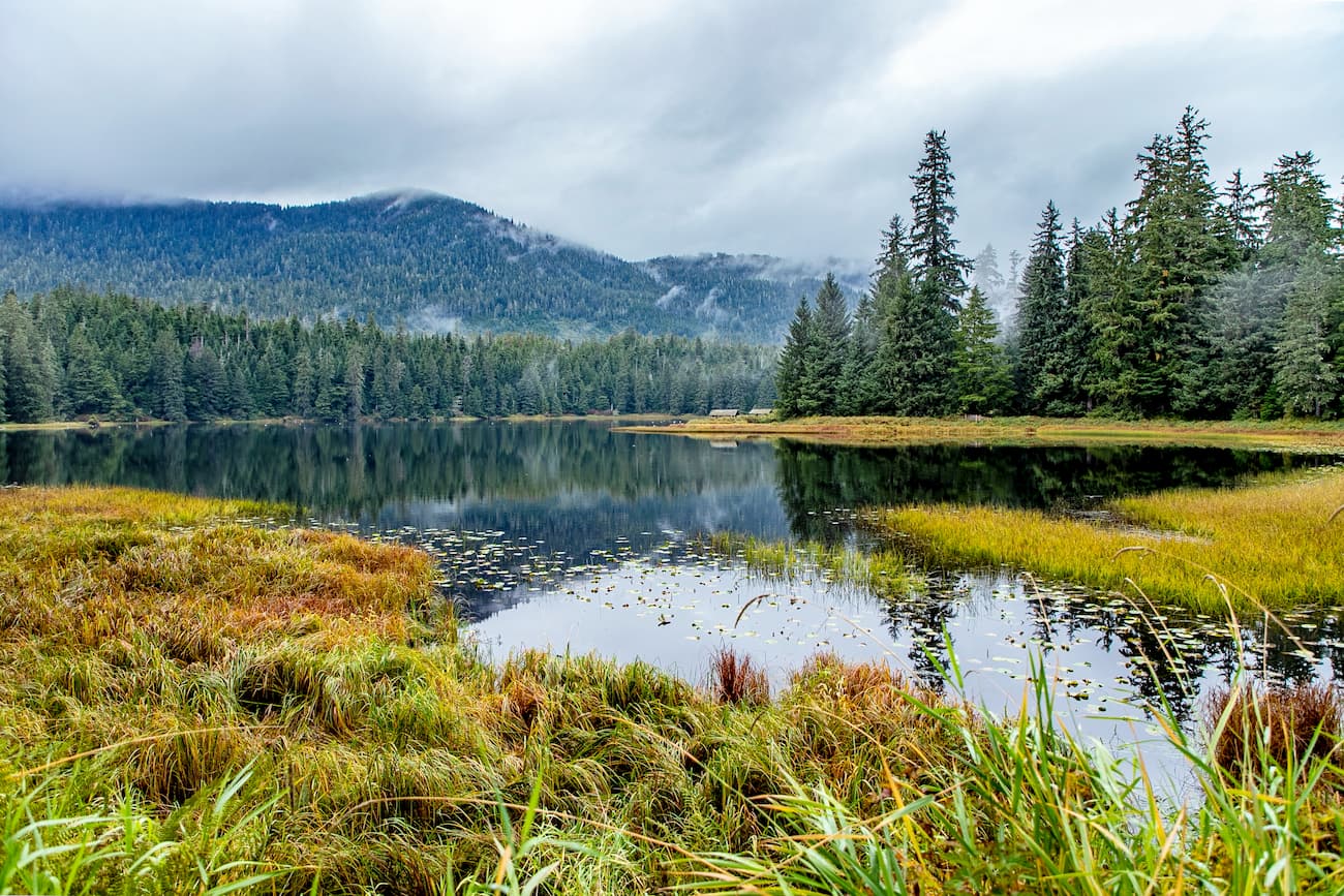 Salvage Trail. Tongass National Forest
