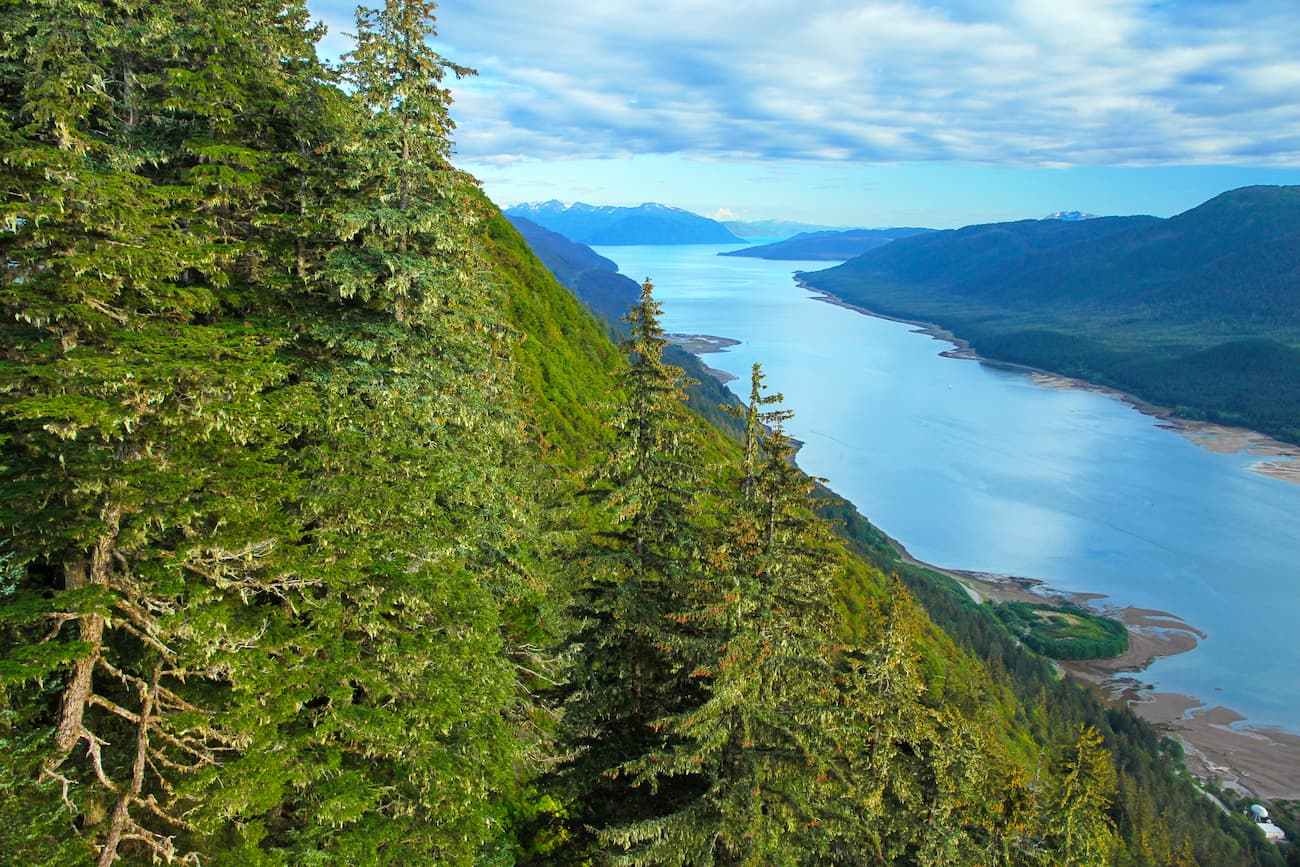Mount Roberts Trail. Tongass National Forest