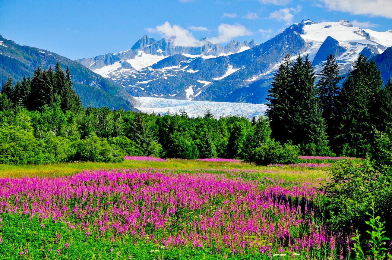Tongass National Forest Peaks Trails 3D Map PeakVisor Tongass National Forest Peaks Trails 3D Map PeakVisor