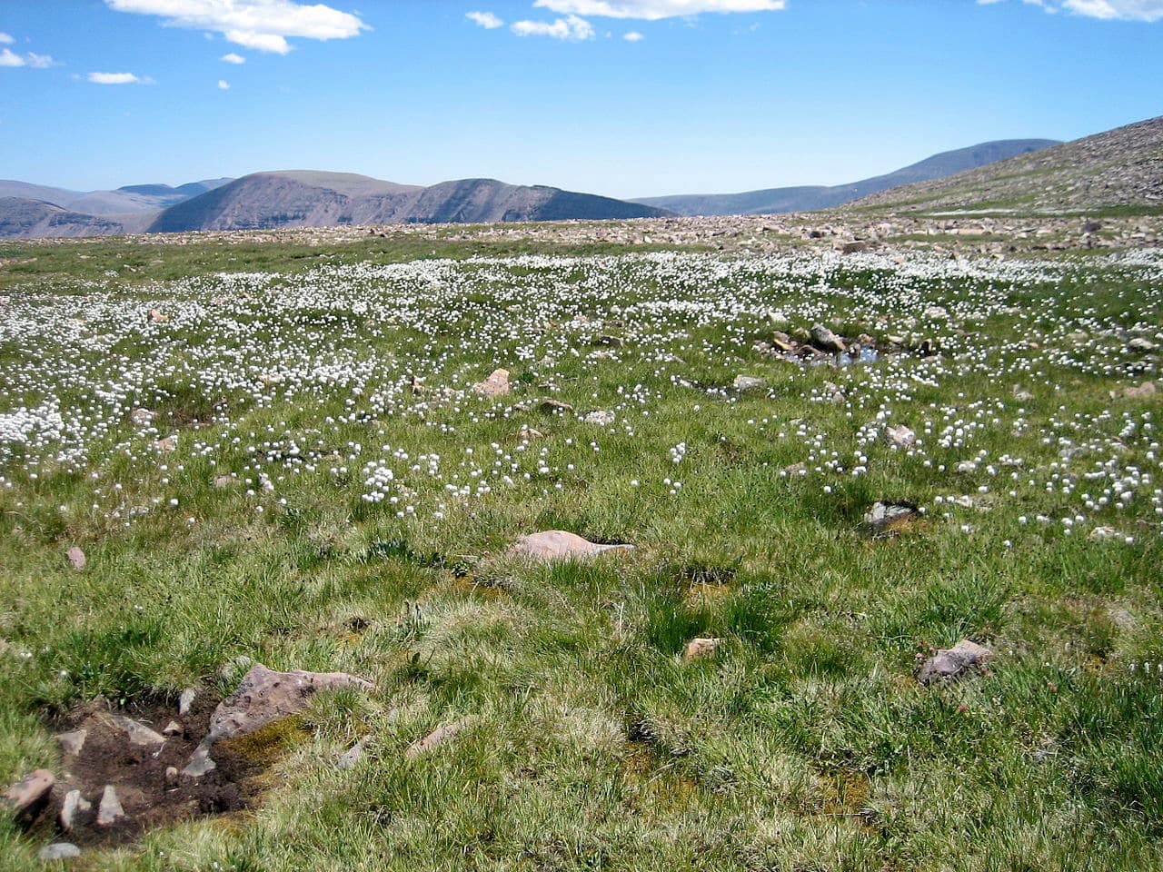 South Kings Peak. Uinta Mountains