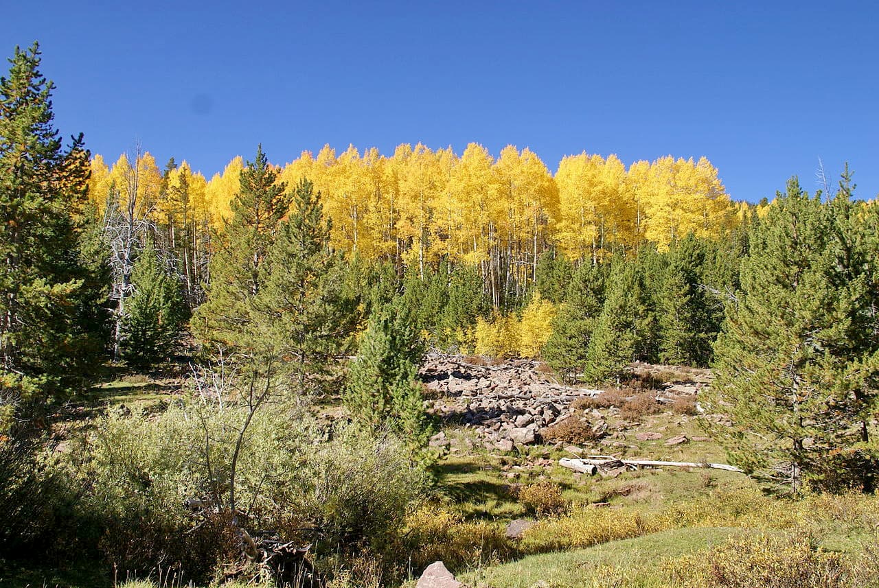 Ashley National Forest. Uinta Mountains