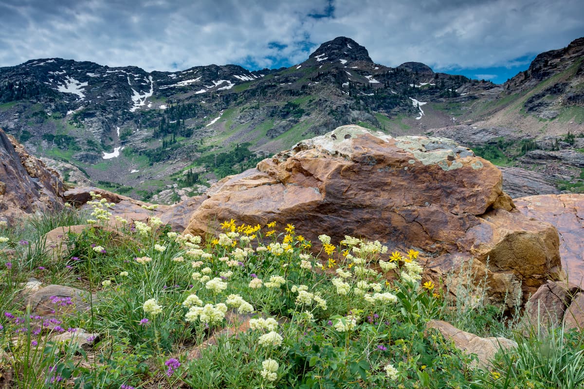 Uinta-Wasatch-Cache National Forest