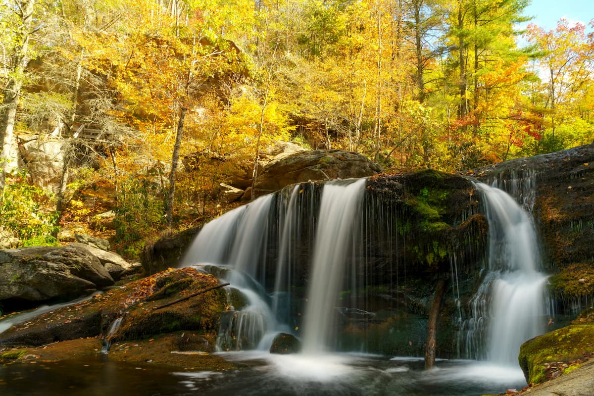 Unaka Mountains. Cherokee National Forest