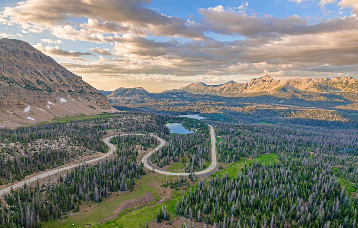 Uinta Montane Forests. Colorado Plateau 