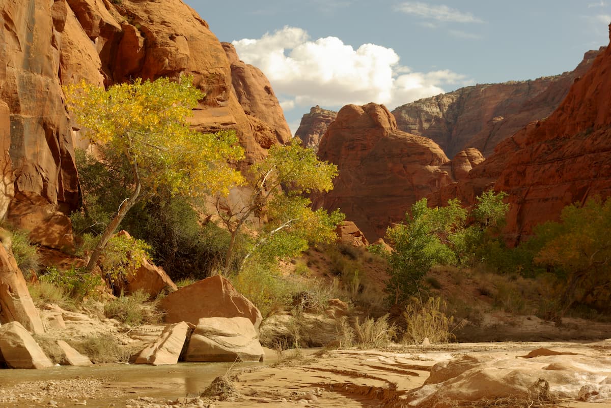Paria Canyon Backpacking In Vermilion Cliffs National Monument