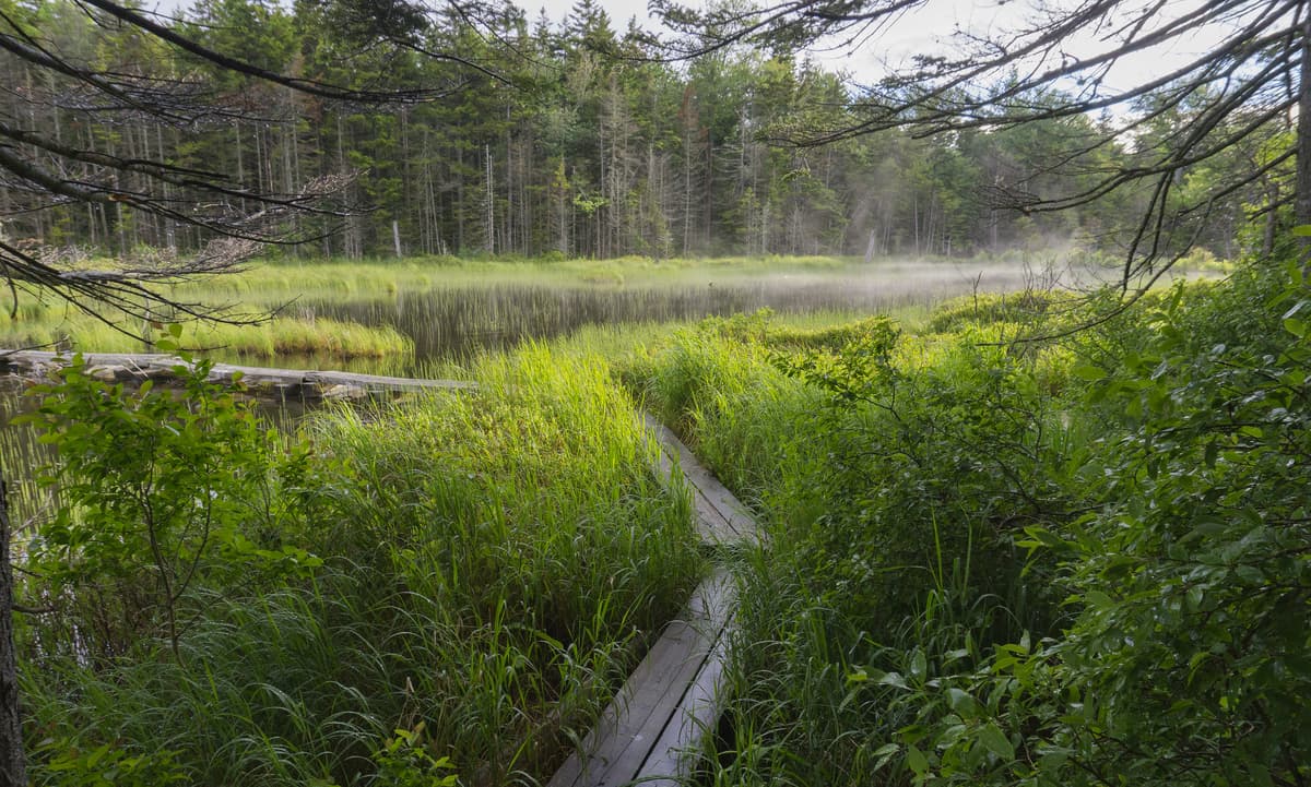 Trail around Stratton Pond in the Green Mountains in Vermont