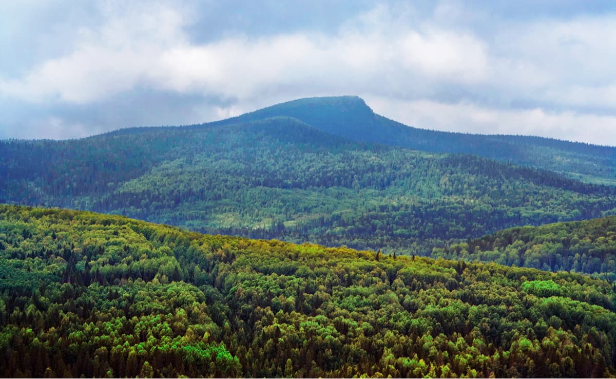 Polyud Mountain. Vishersky State Nature Reserve