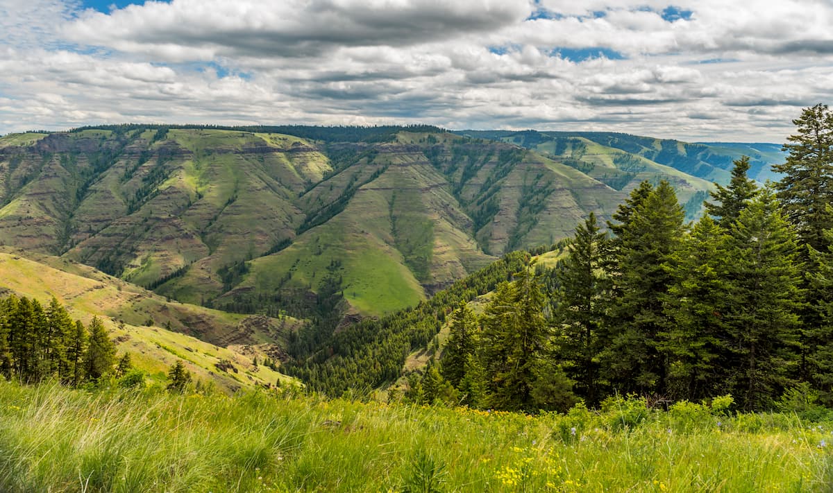 Wallowa-Whitman National Forest