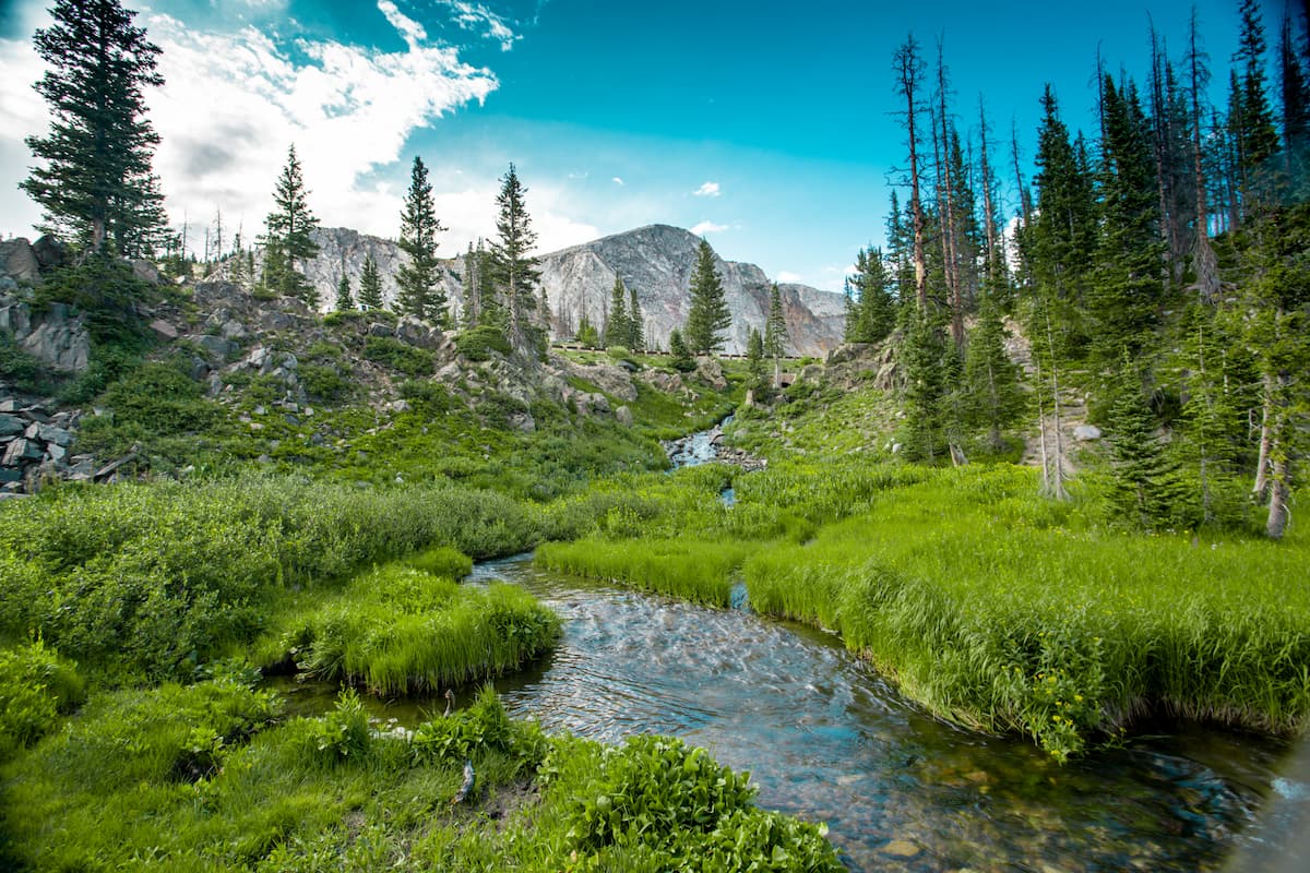 Washakie Wilderness Area