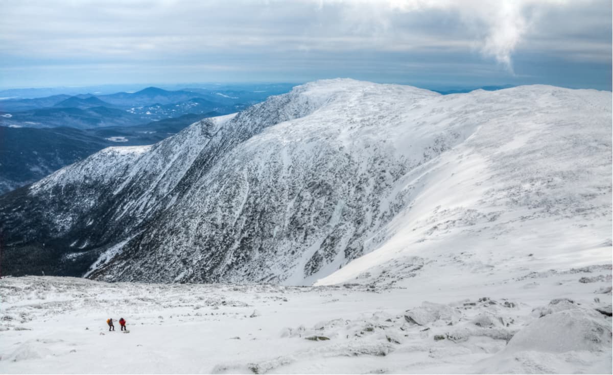 Forêt nationale de White Mountain