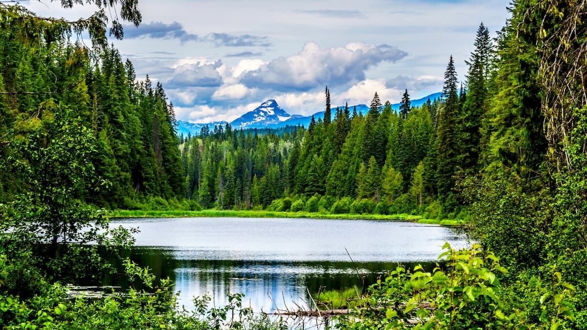 Pyramid Mountain Trail. Wells Gray Provincial Park