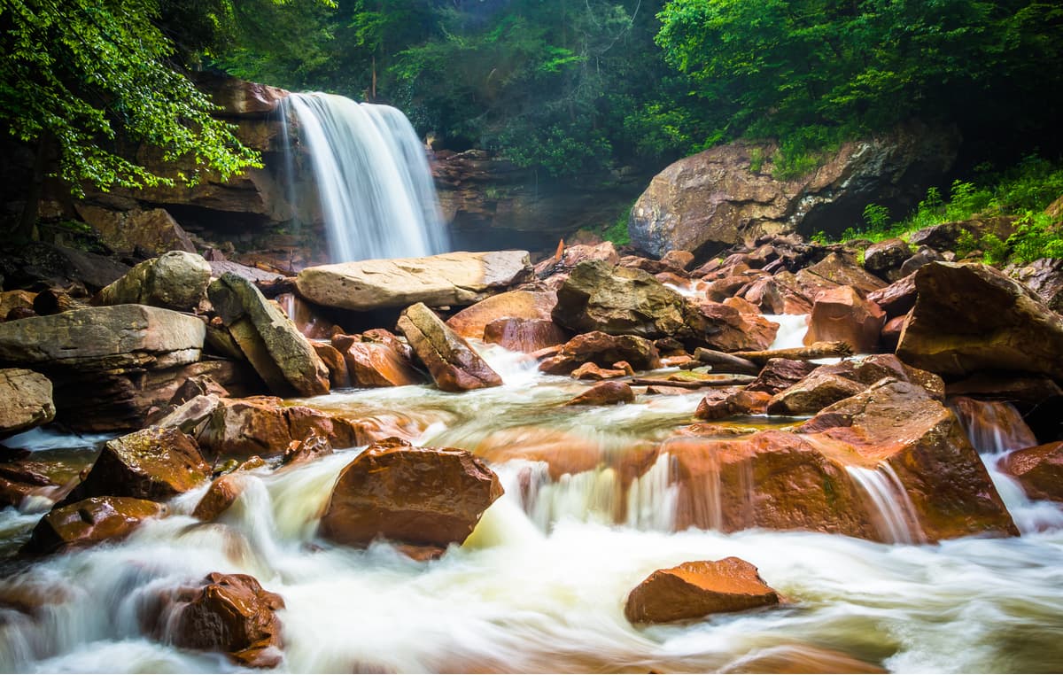 ウェストバージニア州モノンガヘラ国有林のブラックウォーター川にあるダグラス滝。