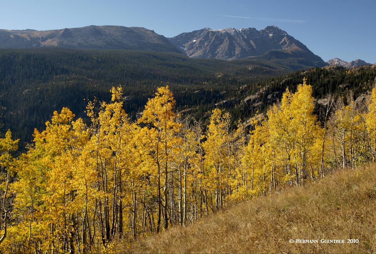 Eaglesmere Lakes Trail, Eagles Nest Peak (r)