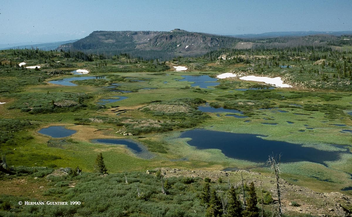 Flat Tops Wilderness