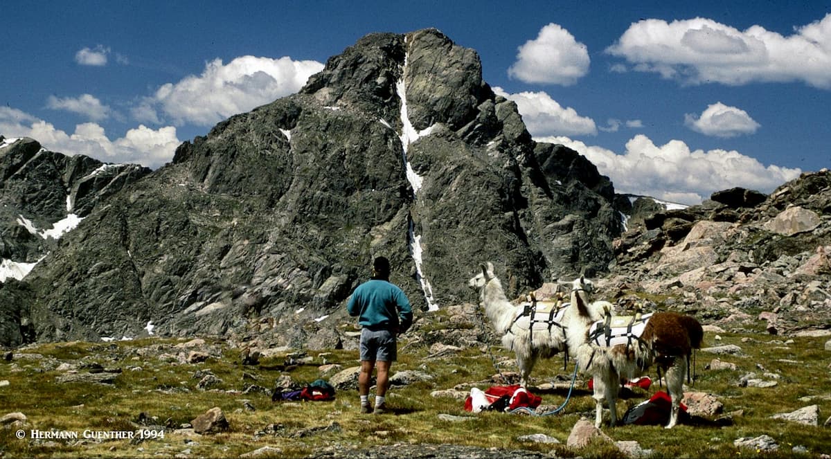 Mount of the Holy Cross from Notch Mountain