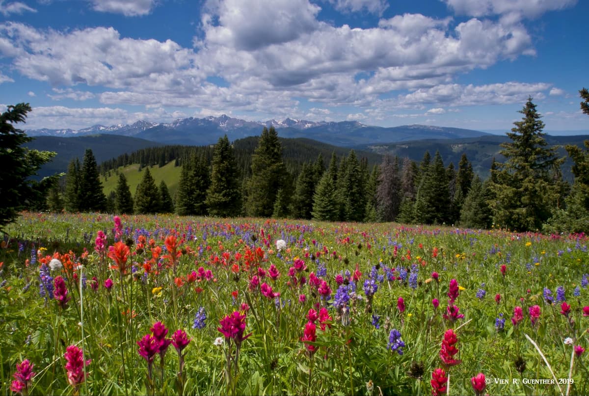 View from Shrine Mountain toward the Holy Cross Wilderness