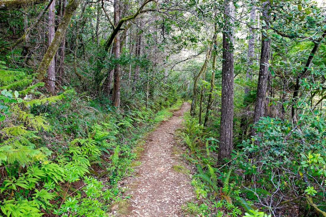 Myrtle Creek, Rogue River, Wild Rogue Wilderness
