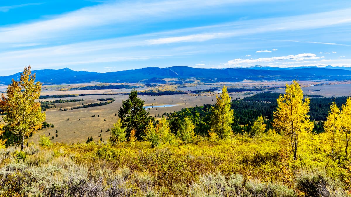 Wyoming Range Cottonwood Creek Trail