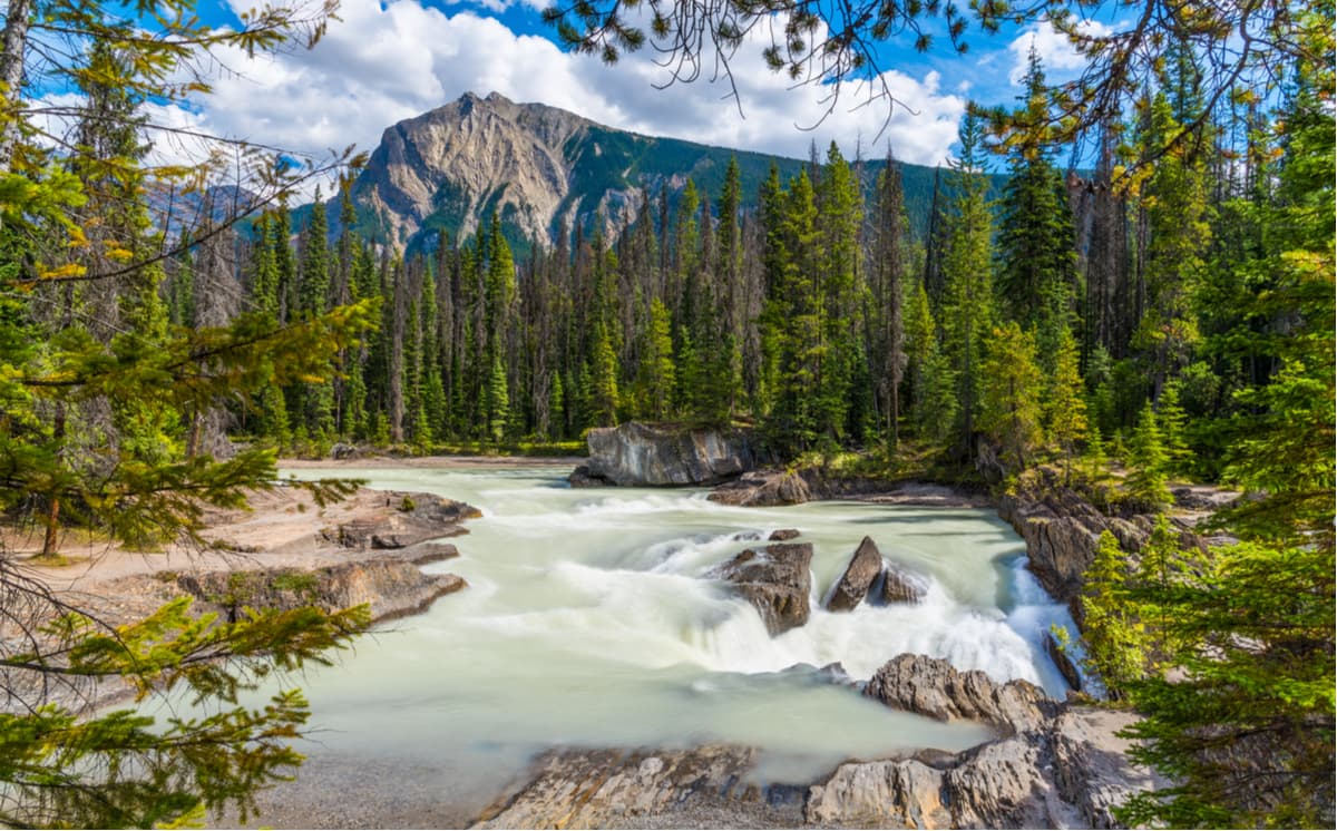 Yoho National Park. Kicking Horse River
