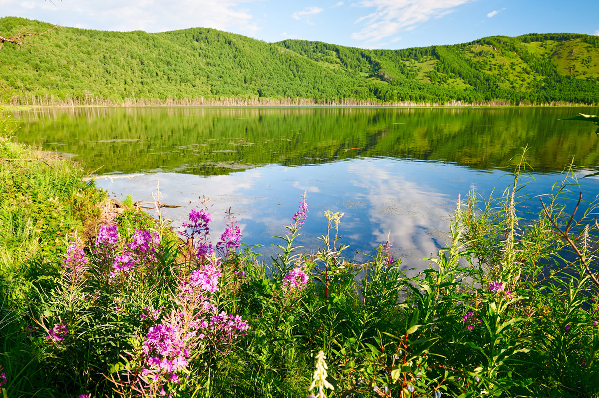 Arxan National Forest Park