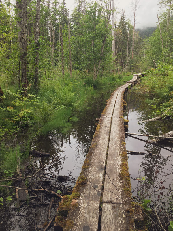 Beaver Pond Trail