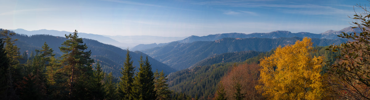Borjomi Panorama