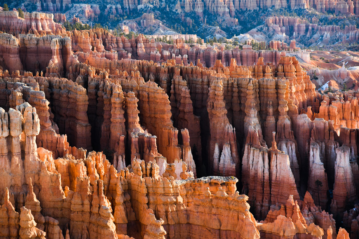 are dogs allowed at bryce canyon