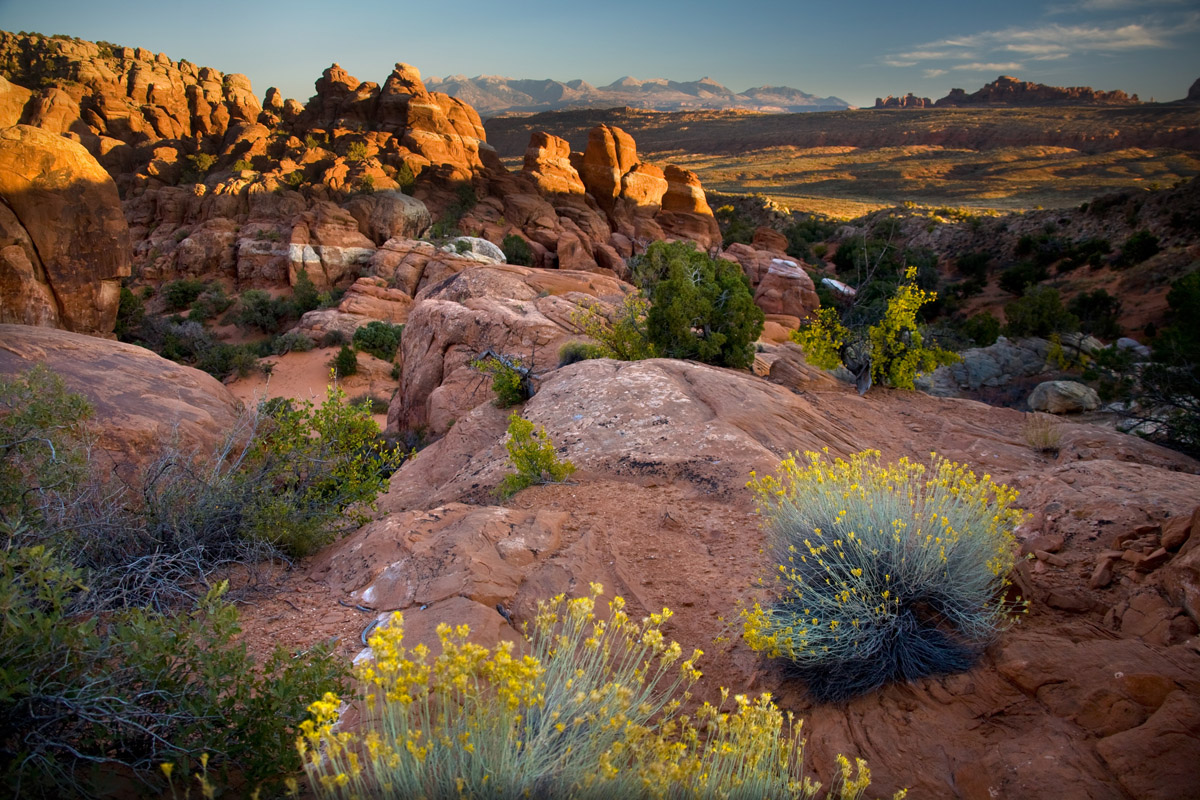 Fiery Furnace
