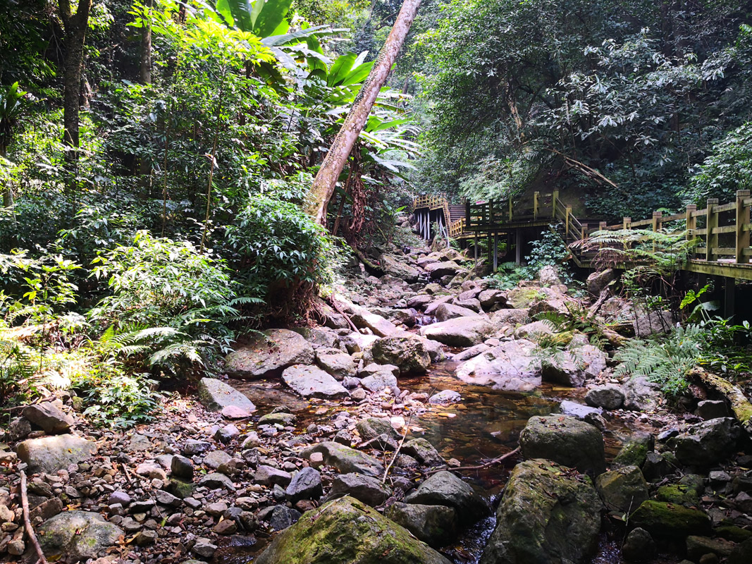 Five Finger Mountain trail, Hainan