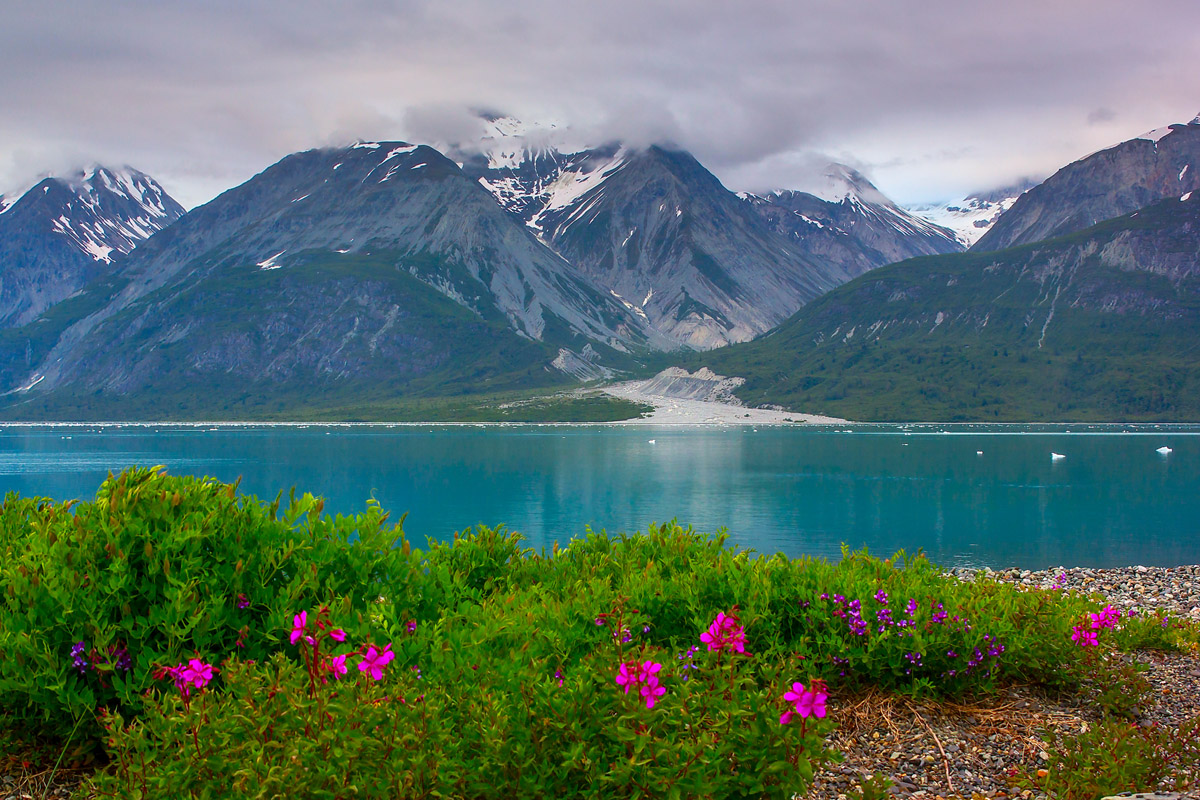 Glacier Bay National Park and Preserve