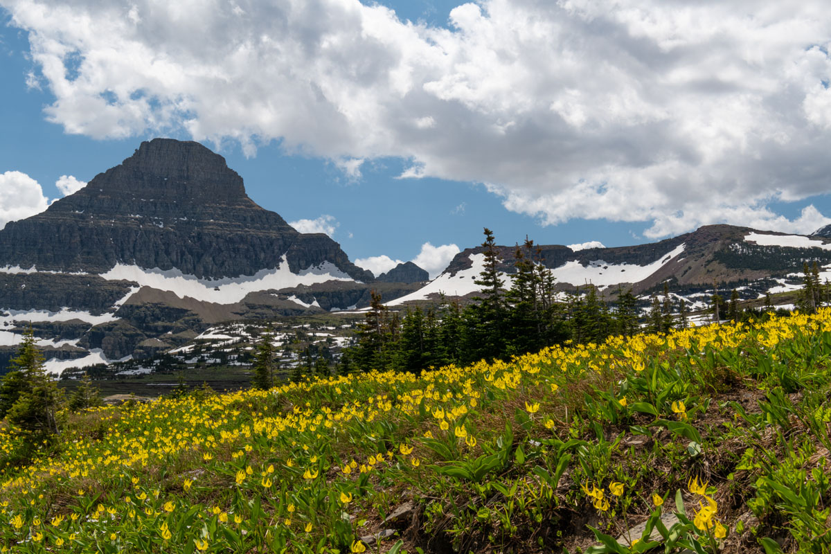 Glacier National Park