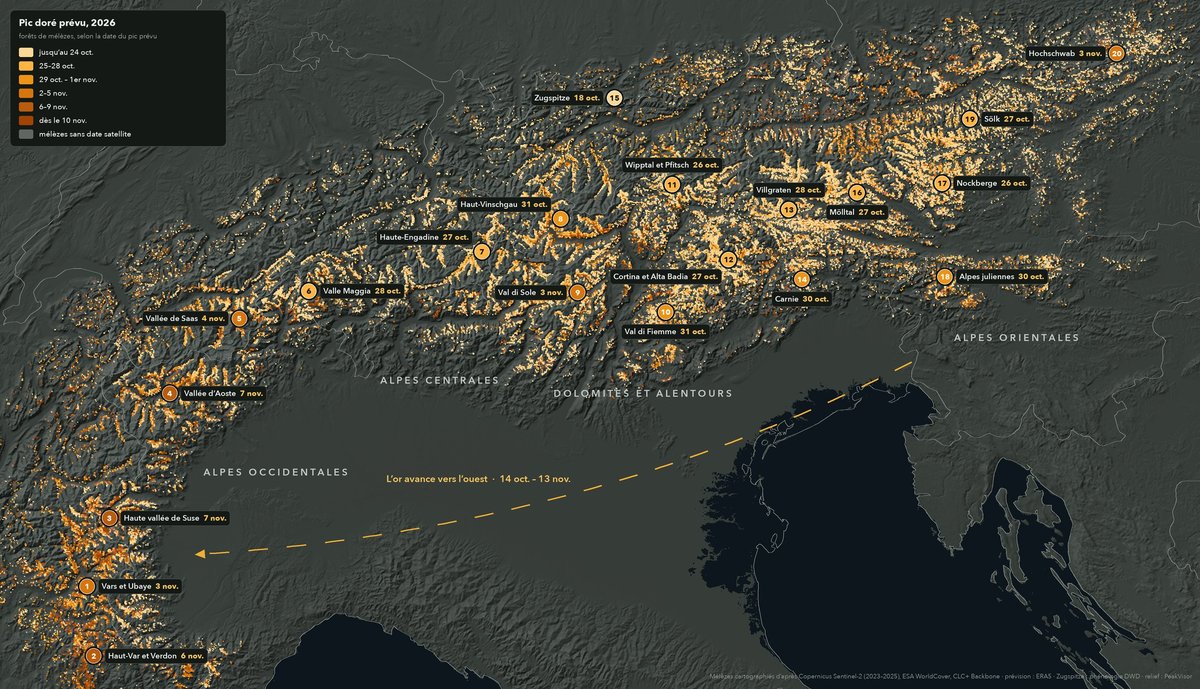 Carte des Alpes montrant les forêts de mélèzes colorées selon la date de pic doré prévue en 2026, avec 20 zones numérotées des Alpes françaises à la Styrie