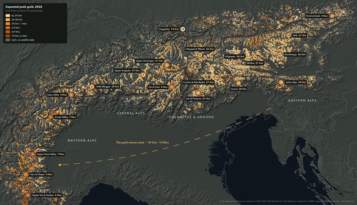 Map of the Alps showing larch forests coloured by expected 2026 peak gold date, with 20 numbered areas from the French Alps to Styria