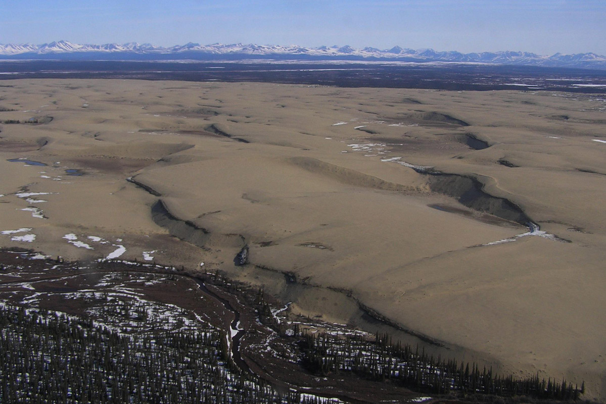 Great Kobuk Sand Dunes