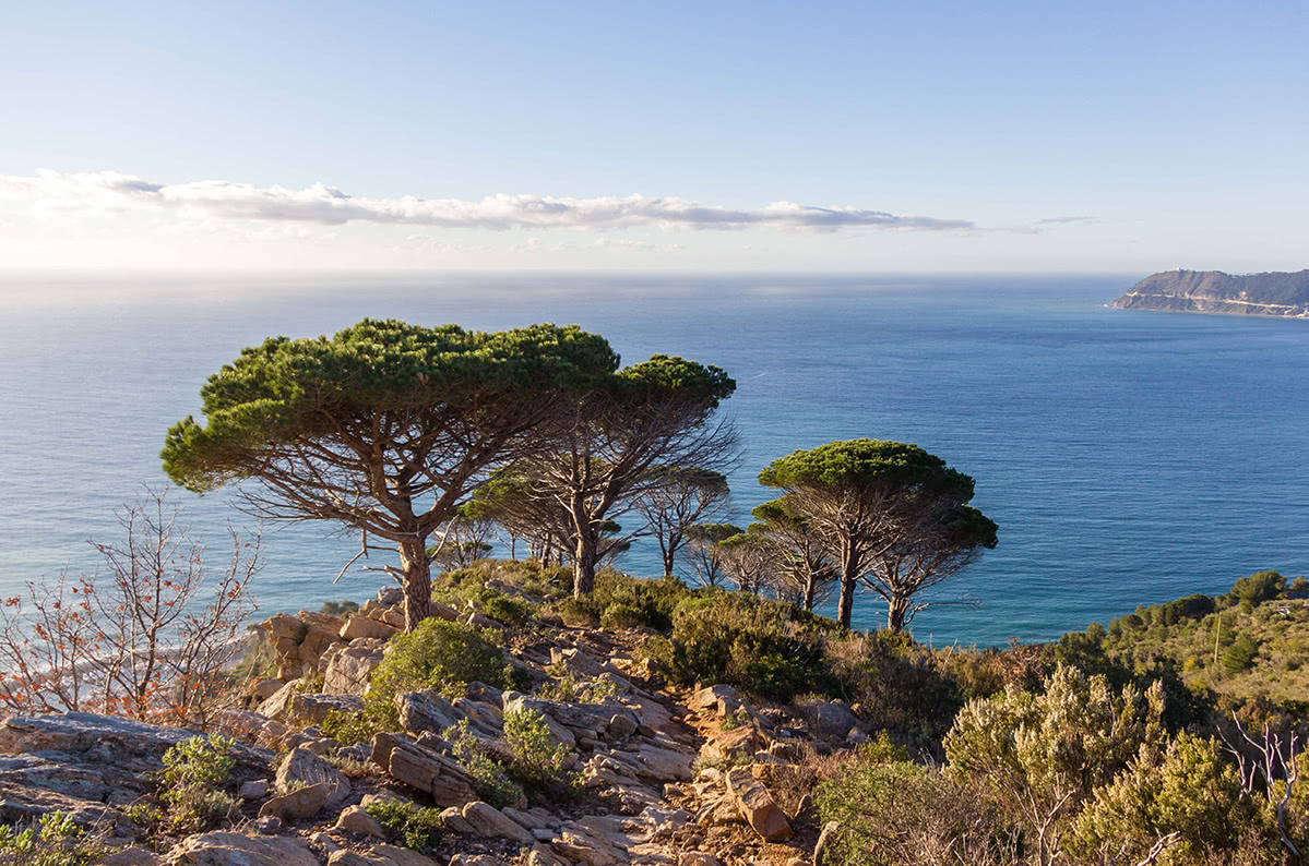 A hiking trail by the sea in Liguria