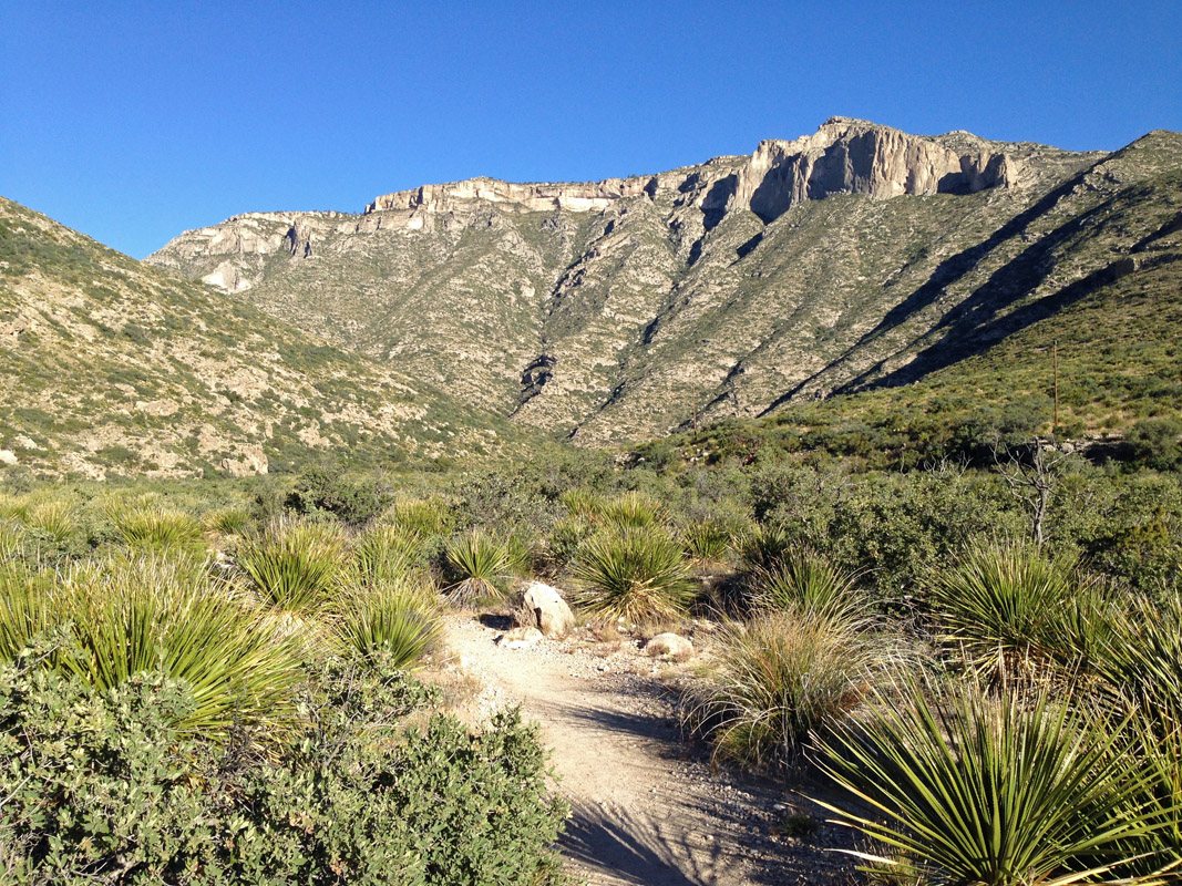 McKittrick Canyon, Guadalupe Mountains, New Mexico, Texas, United States