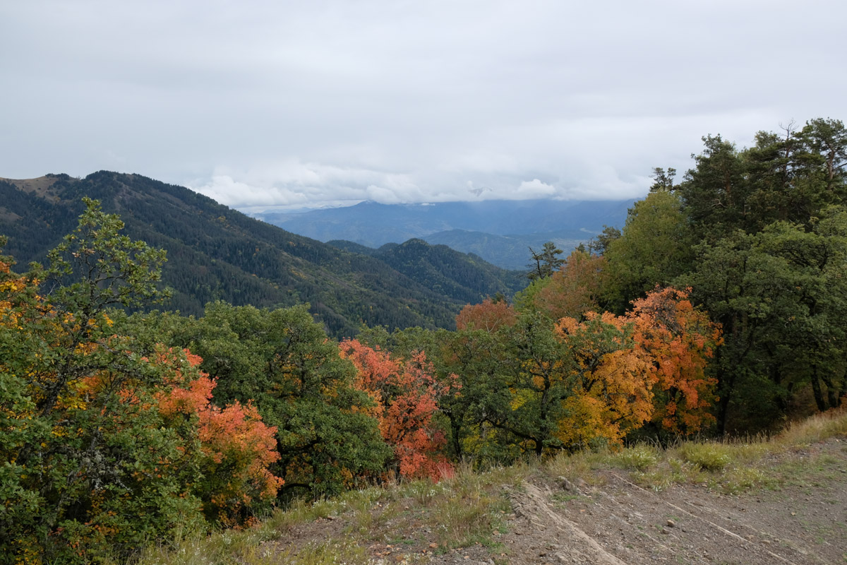 Megruki Atskuri Trail