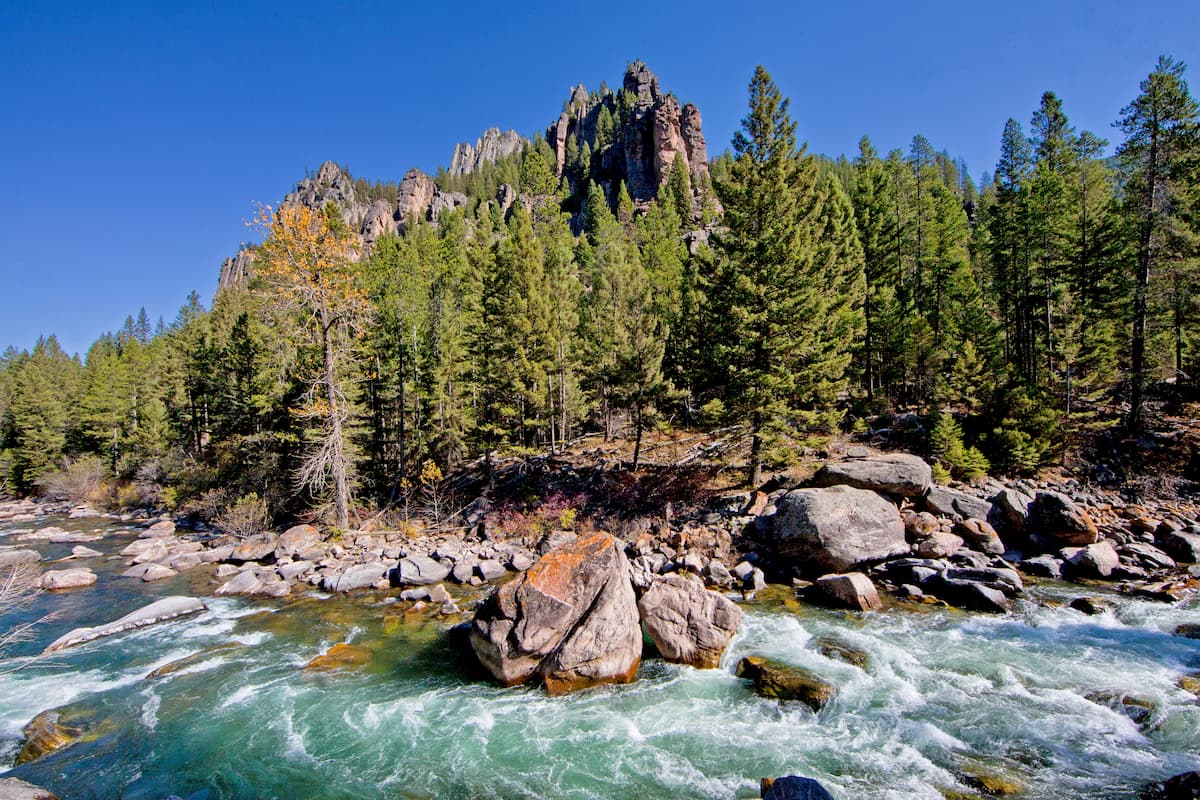 Gallatin National Forest