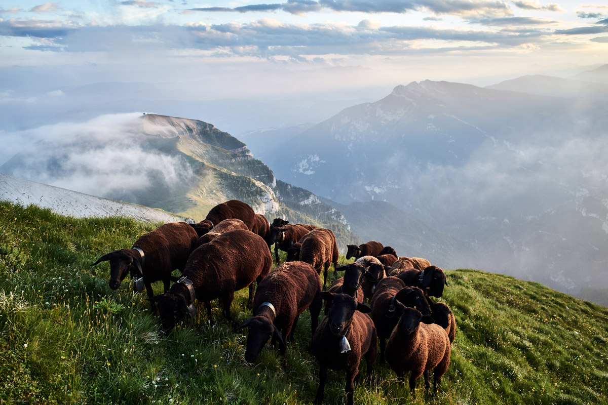 Belluno, Dolomiti Bellunesi National Park, Italy