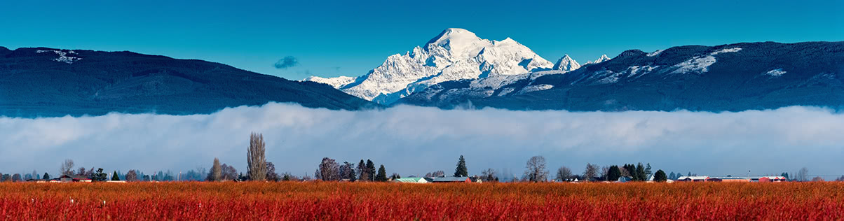 Mount Baker