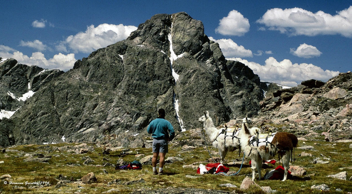 Mount of the Holy Cross from Notch Mountain