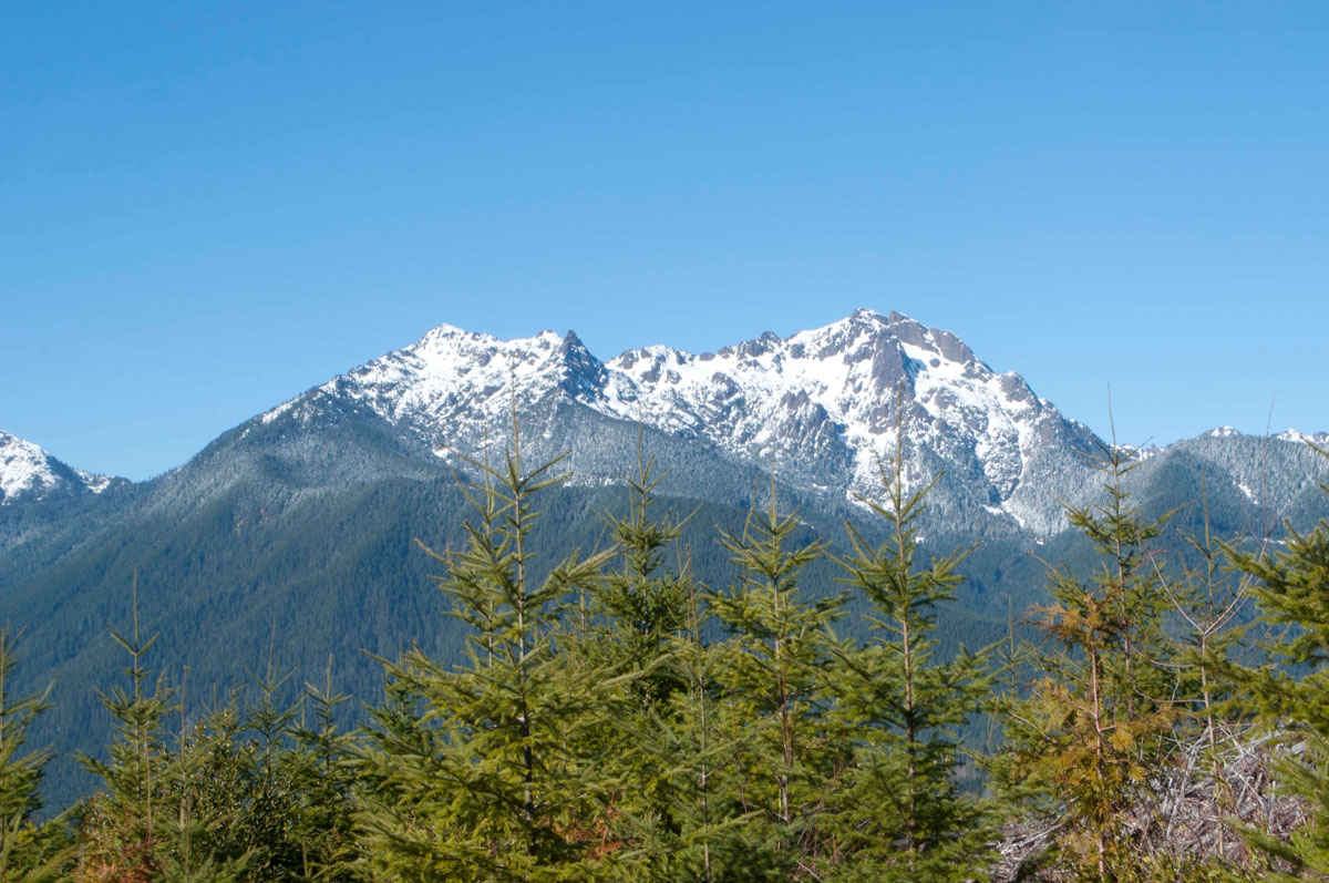 Mount Washington and Mount Ellinor