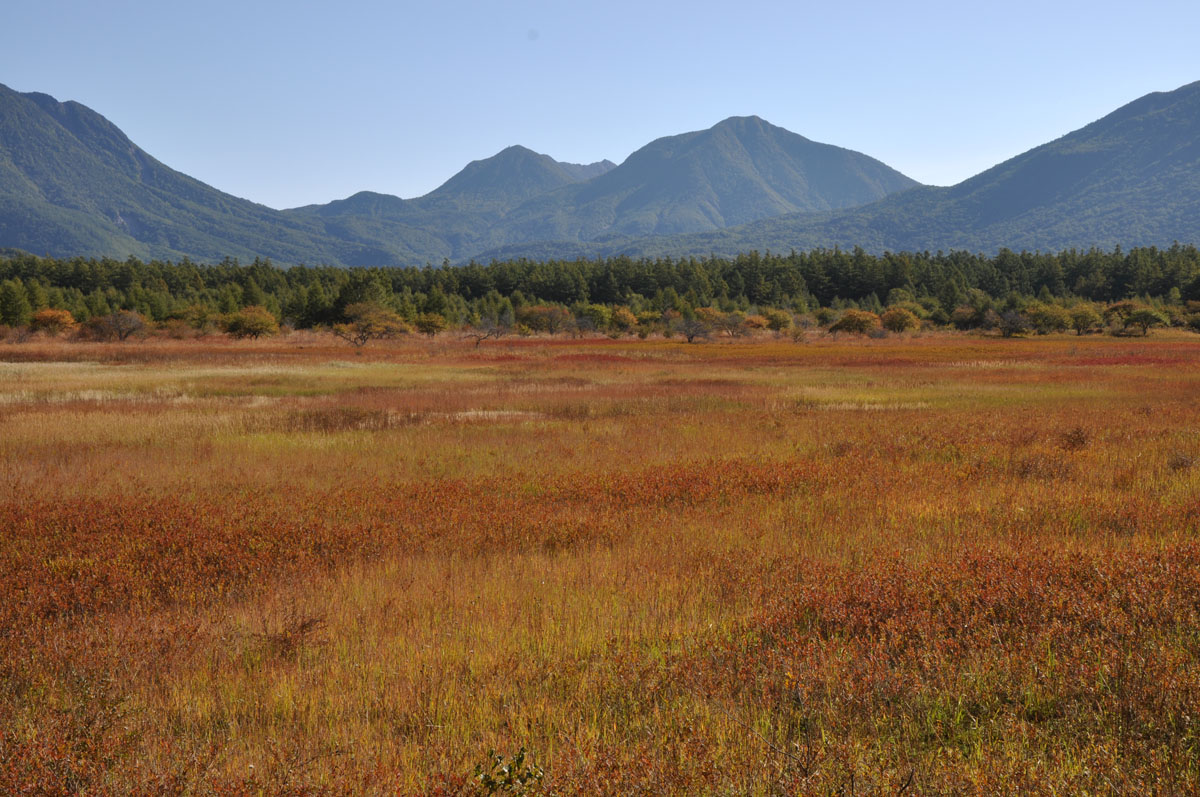 Oku-Nikkō Wetland