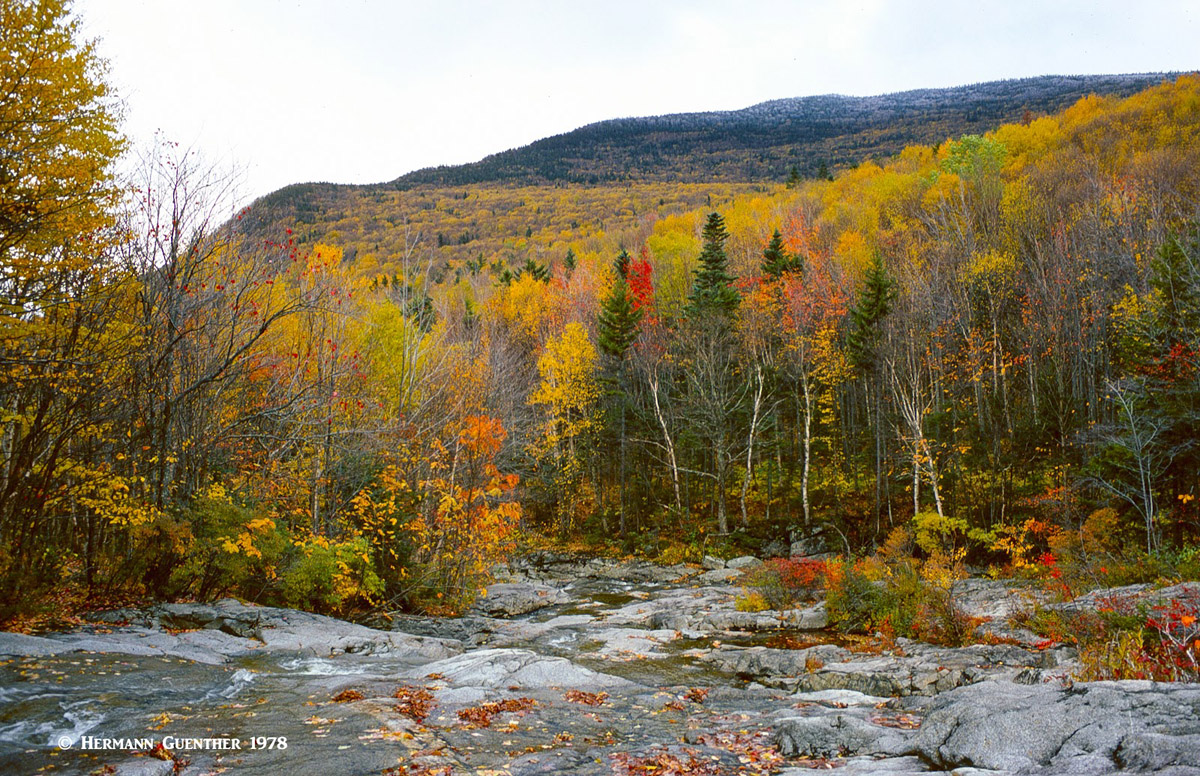 Pemigewasset Wilderness