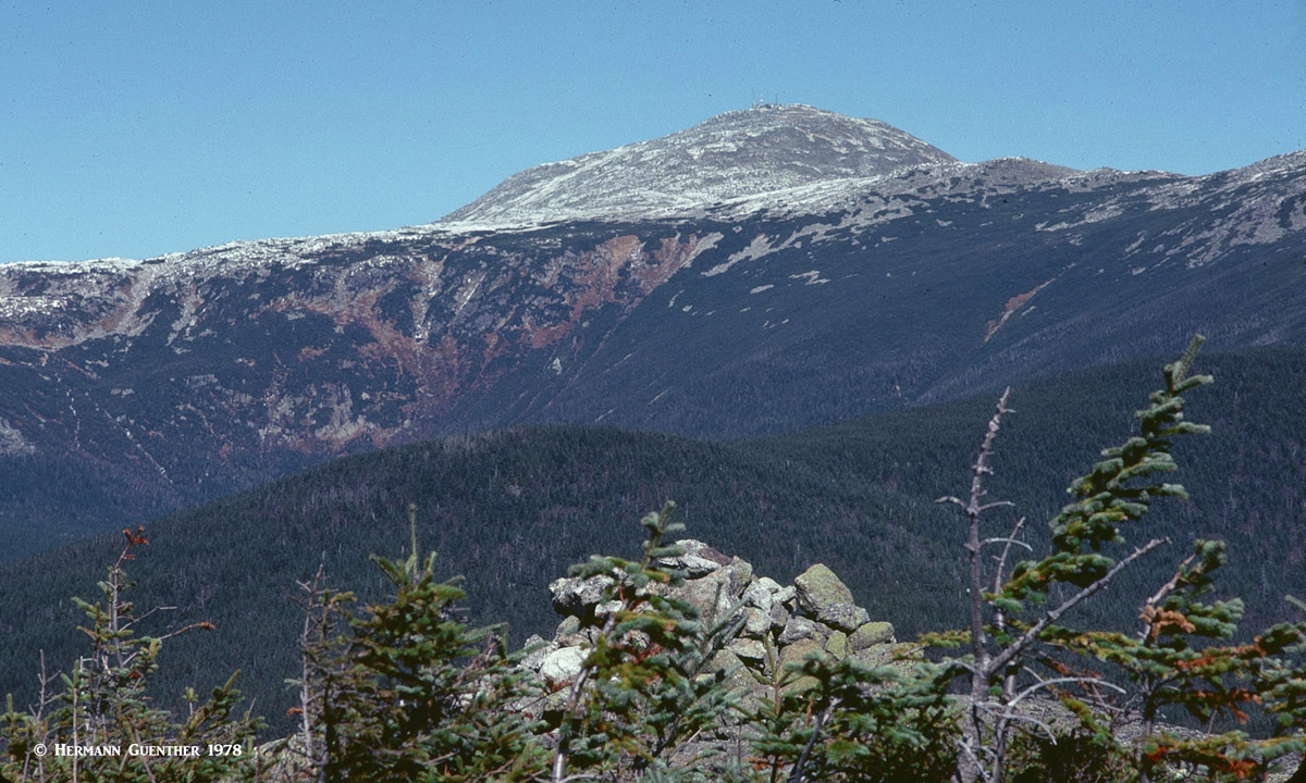 Presidential Range-Dry River Wilderness