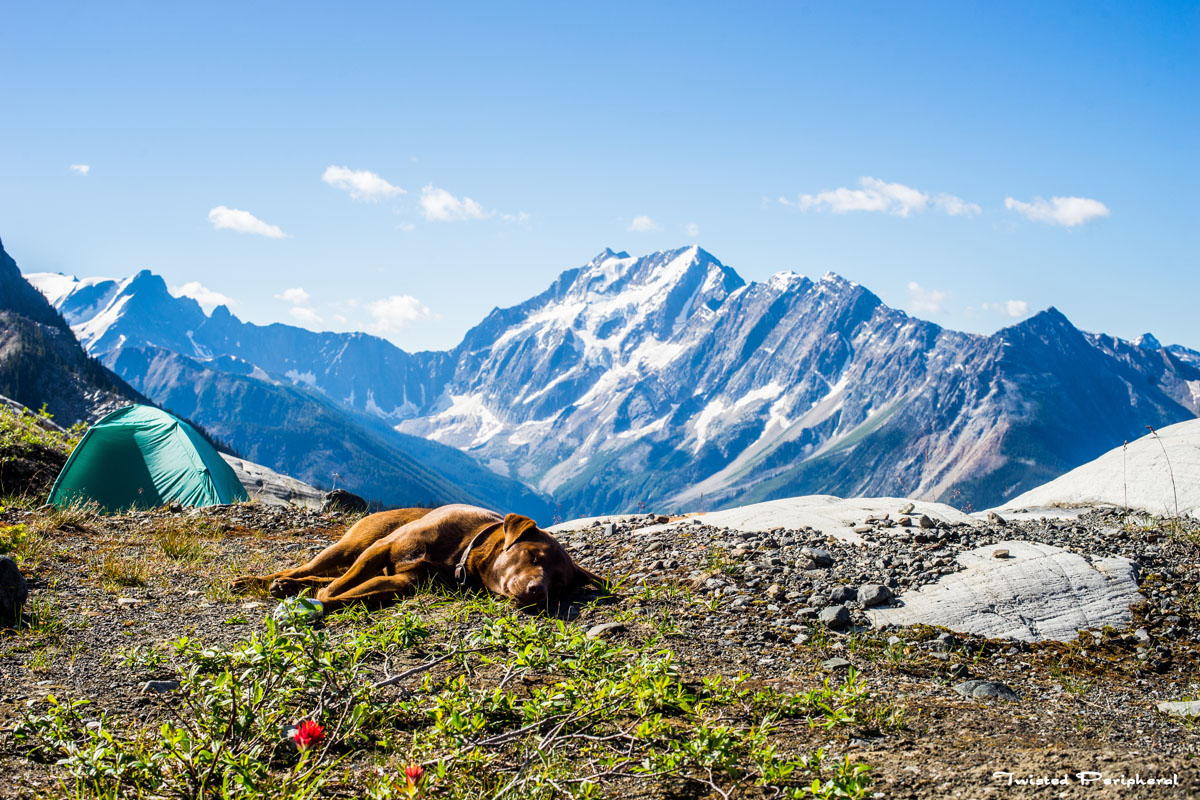Purcell Mountain. Glacier National Park, Canada